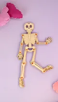 أجسامنا الرائعة image 4